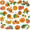 Orange Fruits, Berries and Veggies